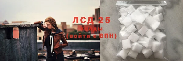 ПСИЛОЦИБИНОВЫЕ ГРИБЫ Беломорск
