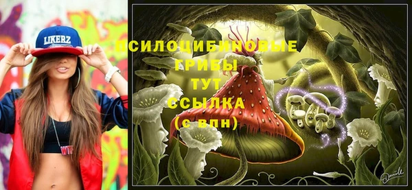 ПСИЛОЦИБИНОВЫЕ ГРИБЫ Беломорск