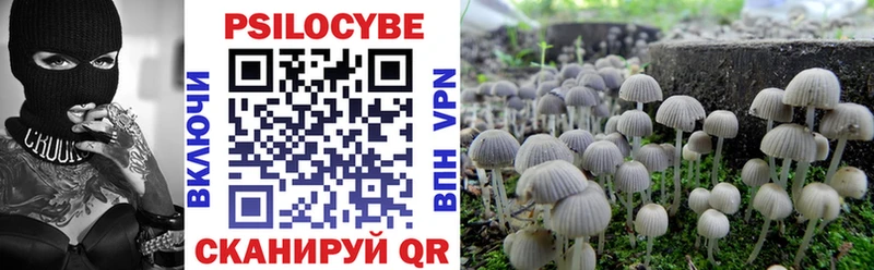 мориарти состав  Горнозаводск  Псилоцибиновые грибы мухоморы  хочу  